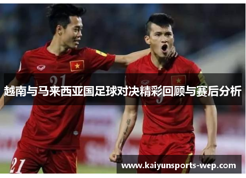 越南与马来西亚国足球对决精彩回顾与赛后分析